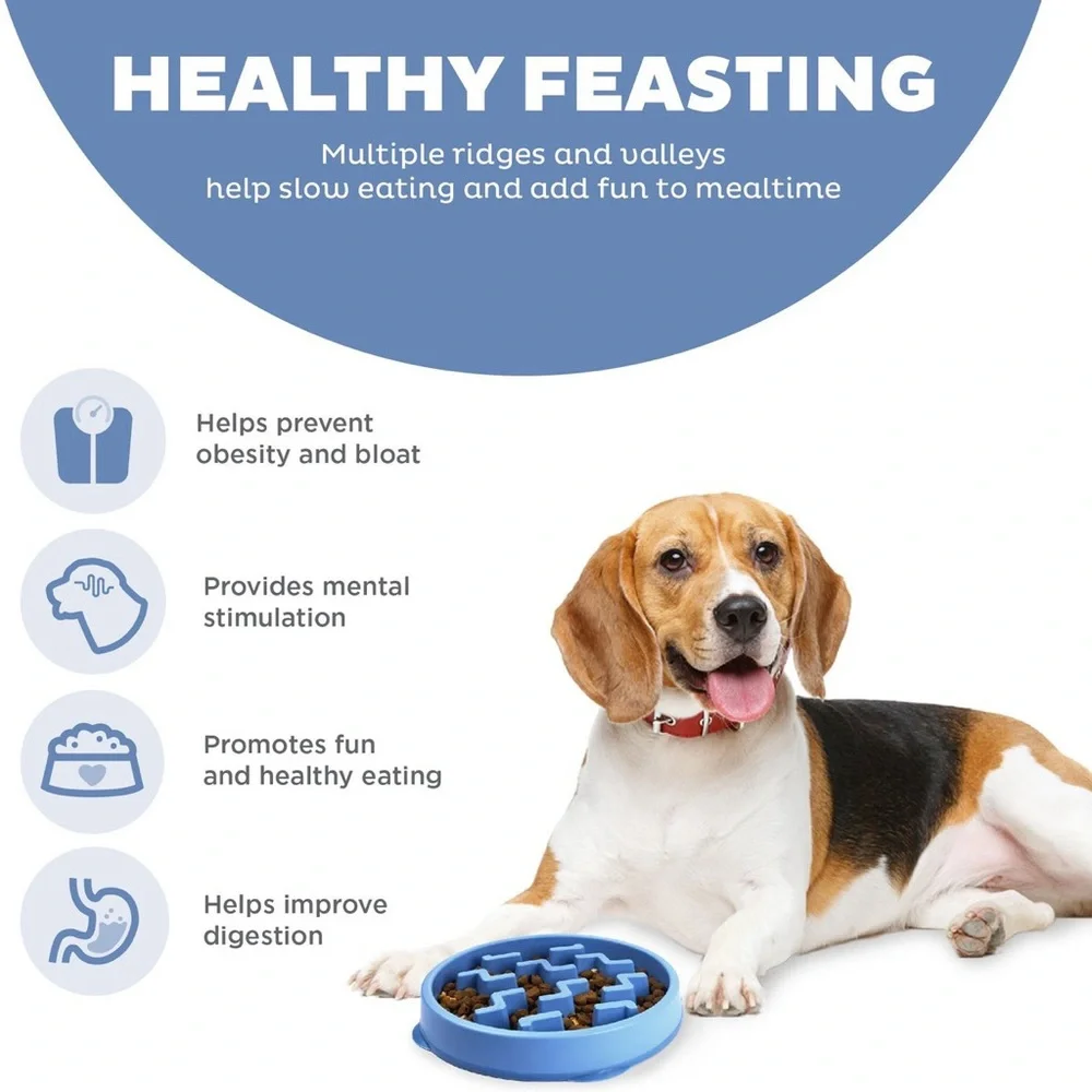 OUTWARD HOUND 🐾 Slow Feeder Dog Bowl